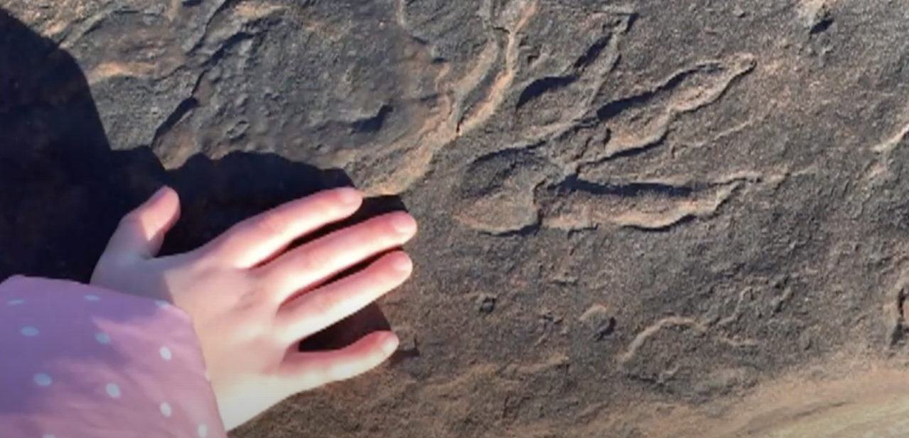 Lily Wilder&amp;#039;s hand next to the dinosaur footprint she found.