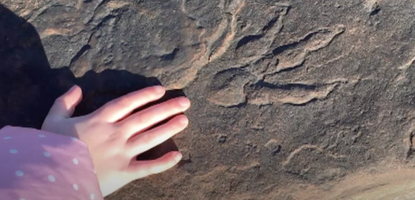 Lily Wilder's hand next to the dinosaur footprint she found.