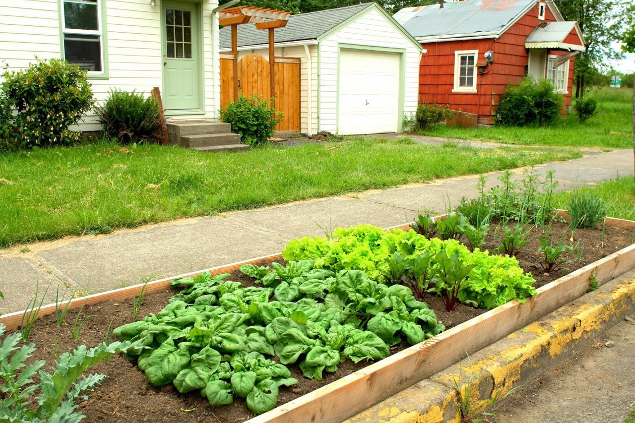 Planted Garden Bed In The Front Yard Along The Sidewalk