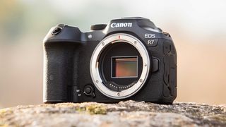 Canon EOS R7 without a lens