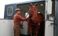 war-horse02.jpg