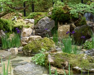 Traditional japanese style rock garden with water pool and moss covered stones