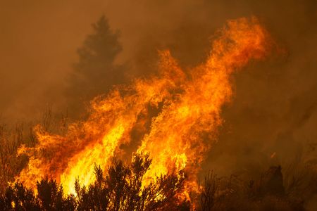 A fire in Monrovia, California.