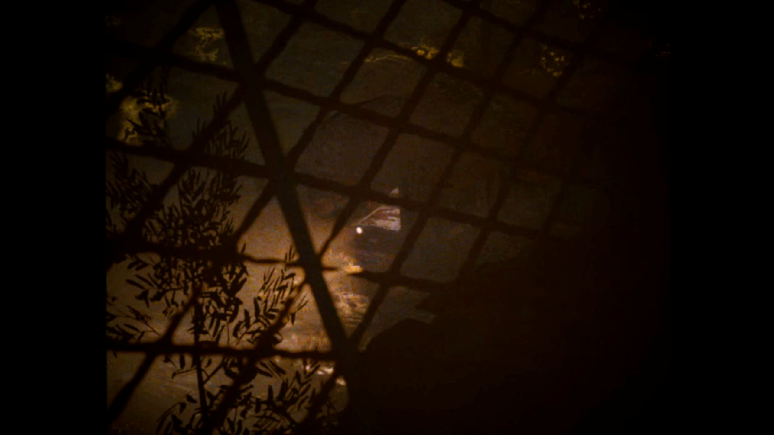 Pacific Drive screenshots