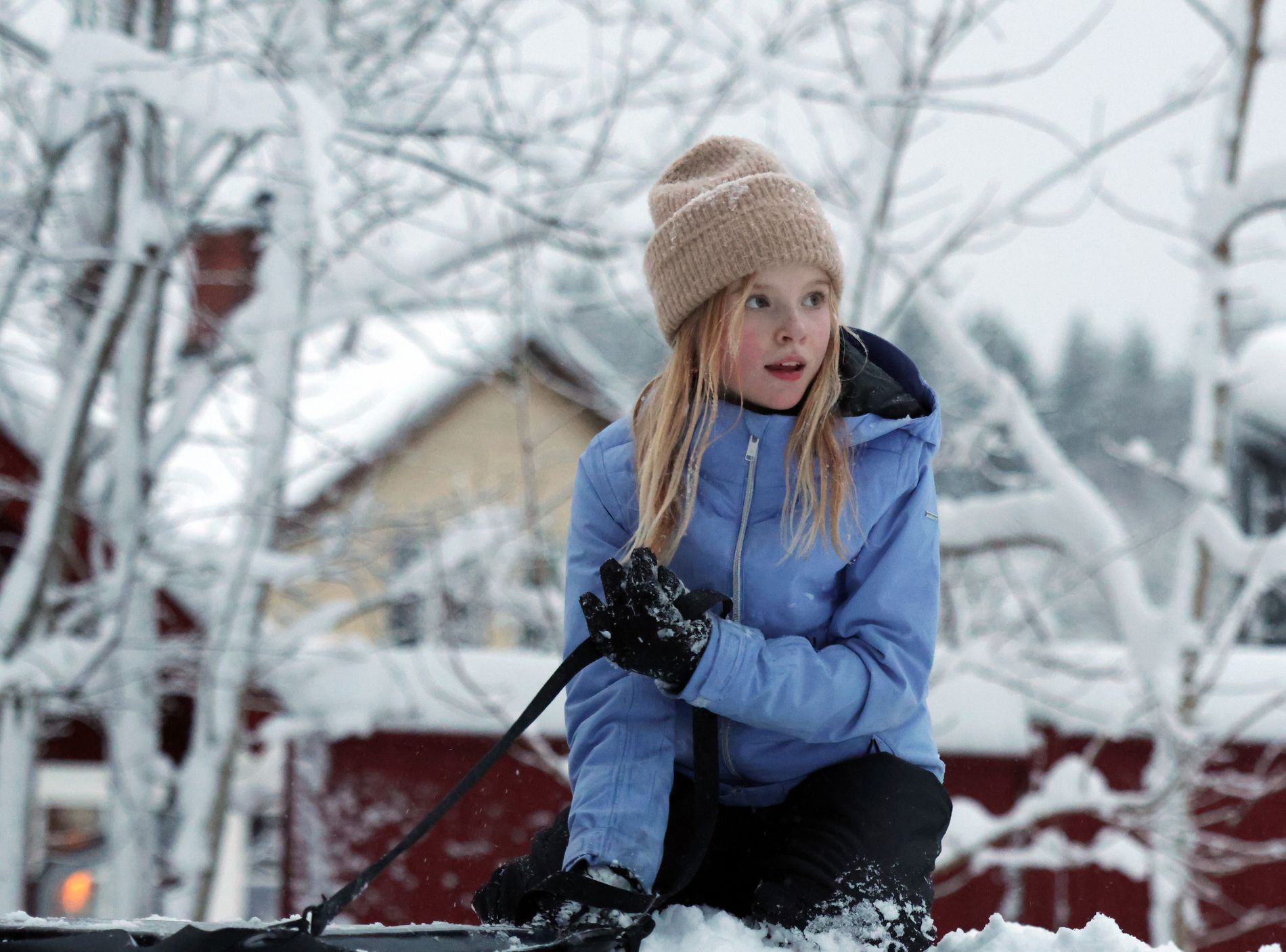 GuruShots - February 2026