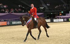 oliver-hood-HorseNo524_HOYS_PN18_169684.jpg