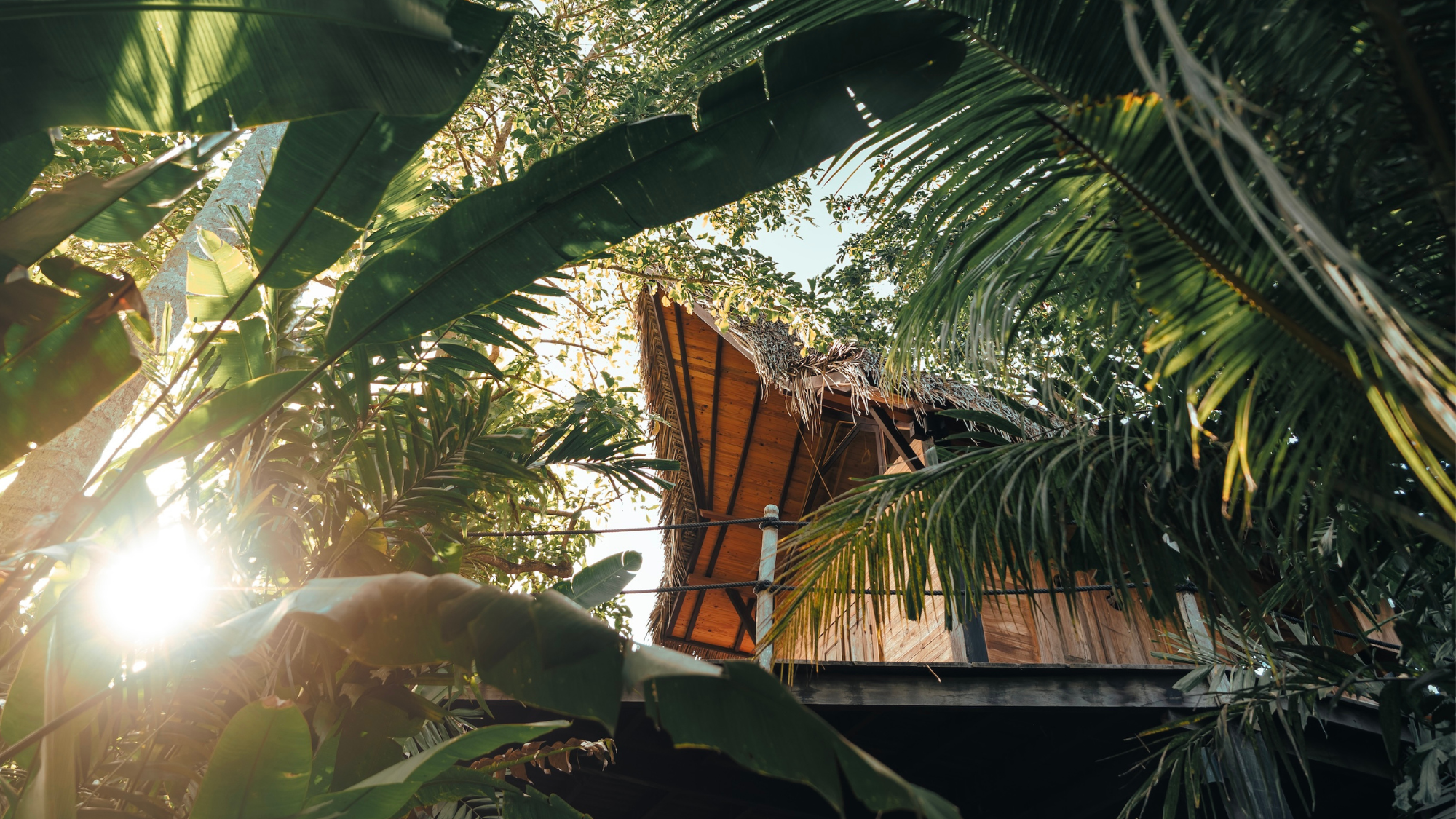 Treehouse at The Seed, Bali