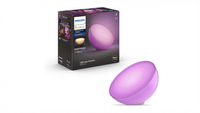 Philips Hue Go
