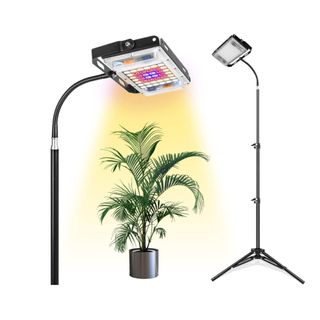 Grow lights on a tripod overlooking a plant
