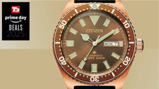 Citizen Promaster Diver