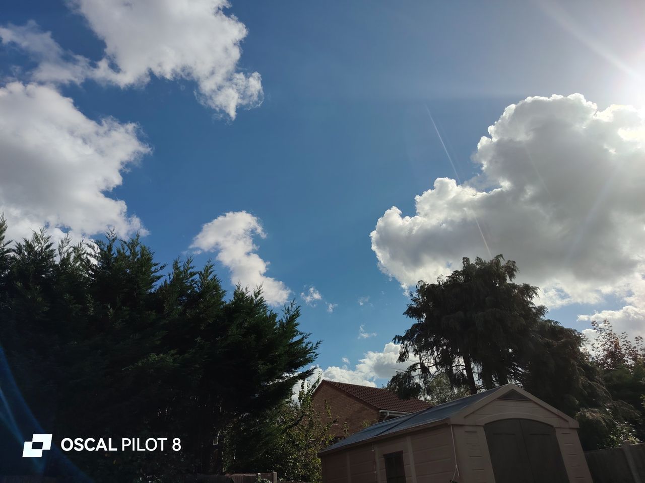 Oscal Pilot 8 Photo Examples