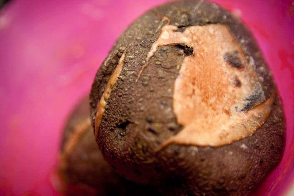 Potato With Dry Rot