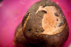Potato With Dry Rot