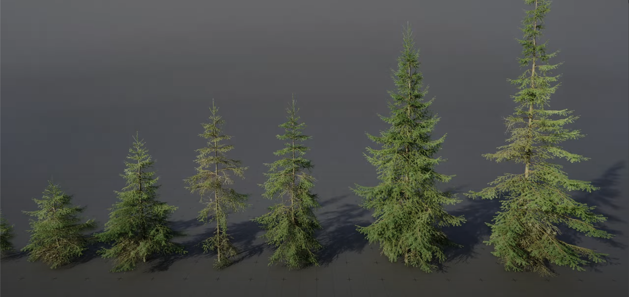 Unreal 5.6