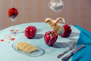 A flat lay of objects on a table