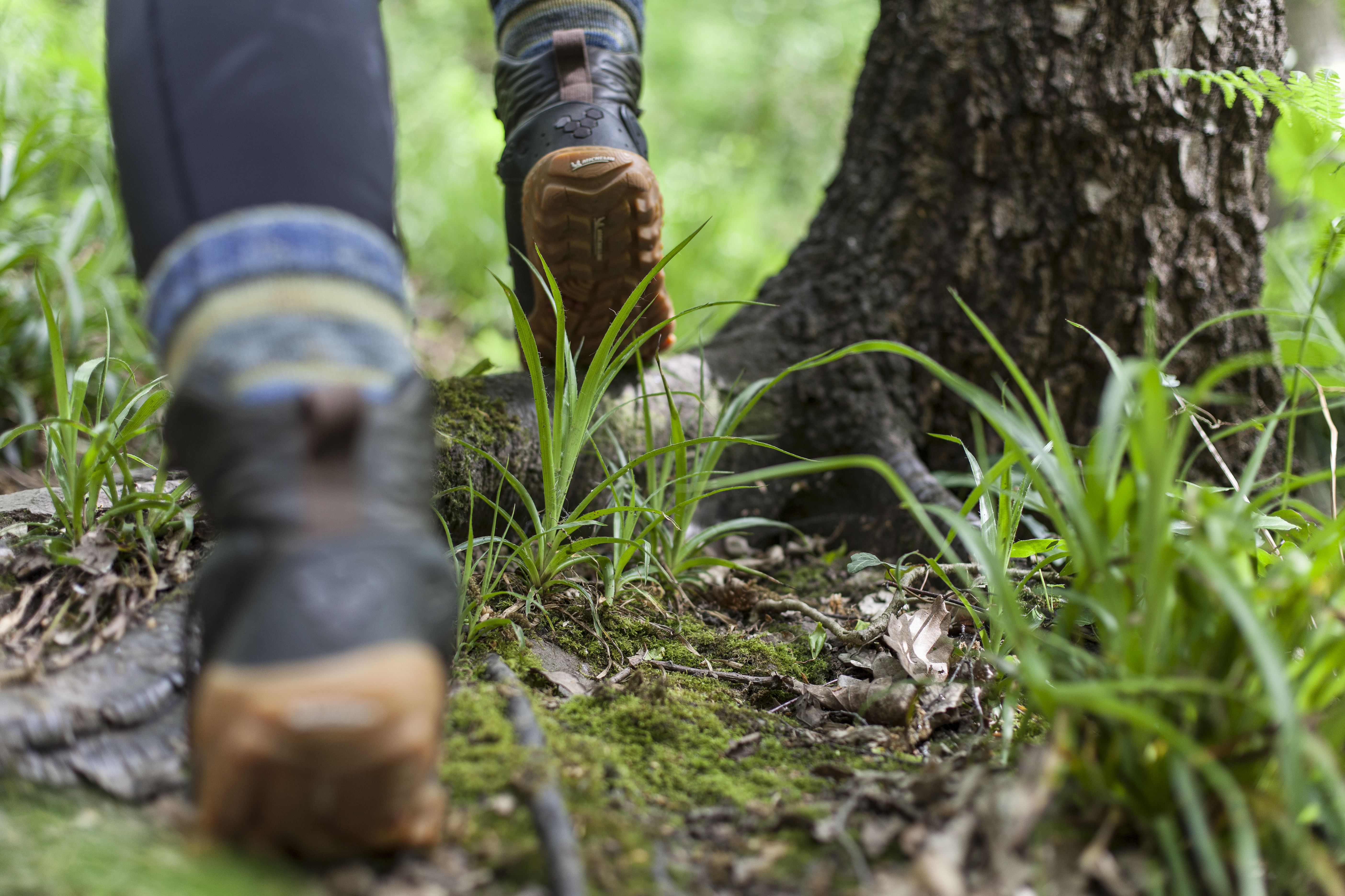 Vivobarefoot Tracker Forest ESC hiking boots