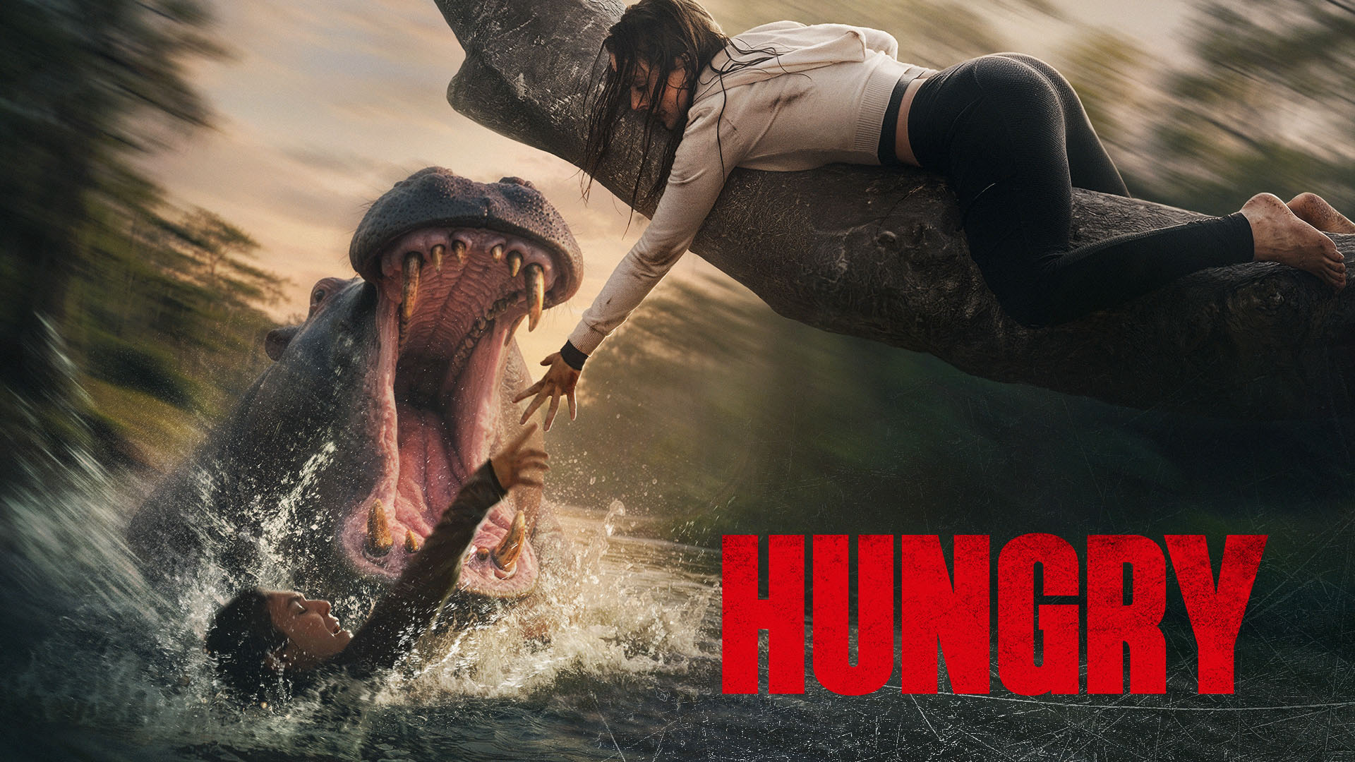 Hungry Poster.