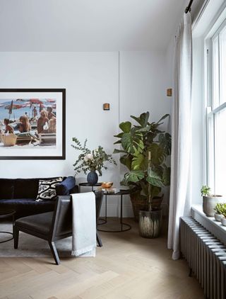 White modern living room with houseplants and artwork