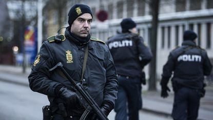Danish police stand guard