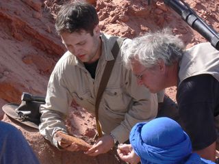 Paleontologists Nizar Ibrahim and David Martill examine a spine fragment of Spinosaurus found in southeastern Morocco.