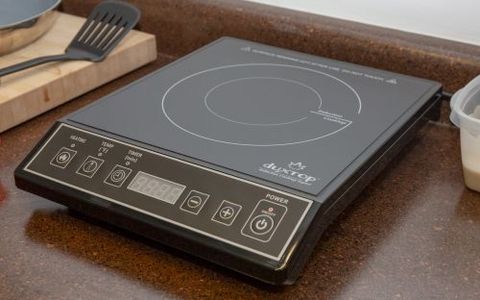 Secura Duxtop Hot Plate Review Pros Cons And Verdict Top Ten