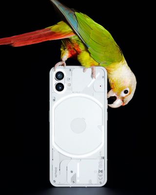 A render of the Nothing Phone (1) from the back, with a parrot perched on top of it