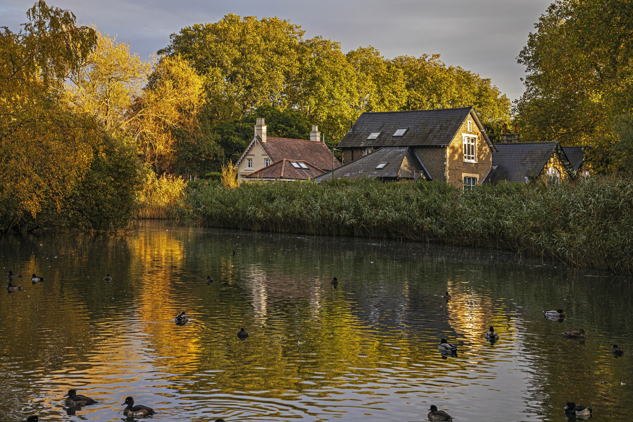 House by Barnes pond