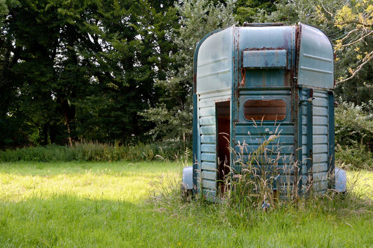 Weathered horsebox standing in sunlight in a meadow of long grass in the New Forest, England