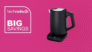 Ninja Perfect Temperature Kettle