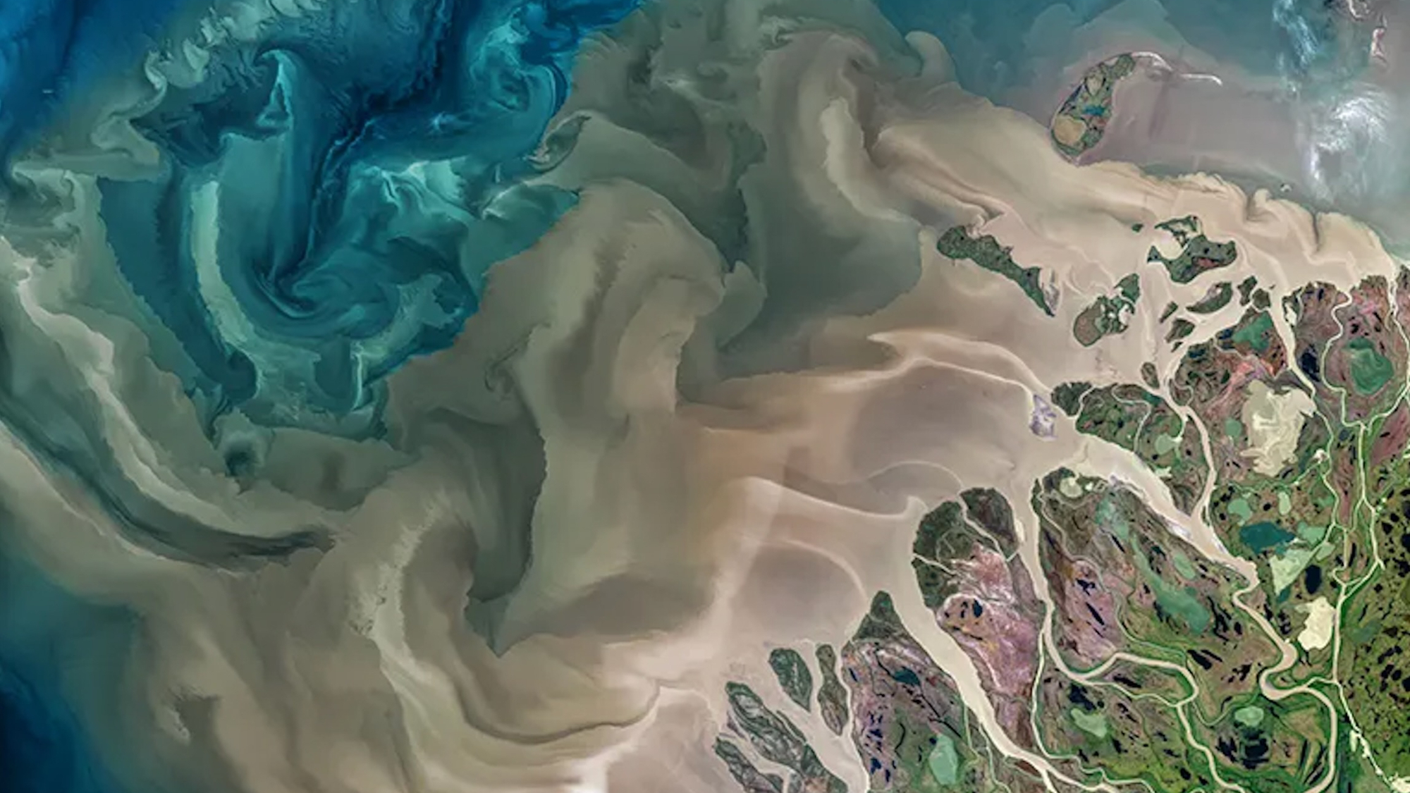 satellite photo showing muddy water from coastal rivers entering the ocean