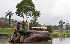 Fence 4 on the Rio Olympics cross-country