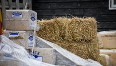 best horse bedding