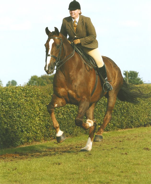 rockygallop
