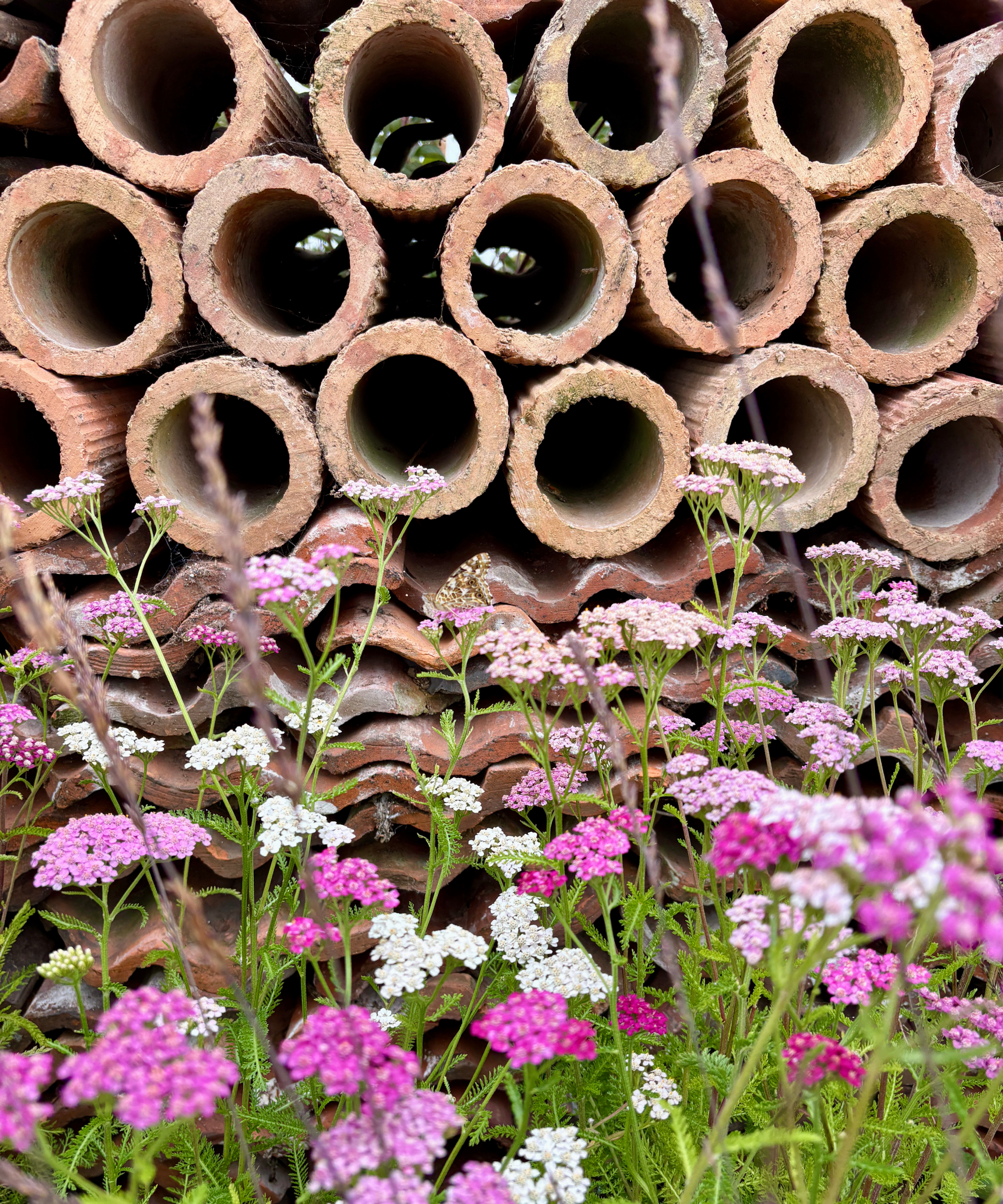 Wildlife and bug hotel made of terracotta pipes and roof tiles