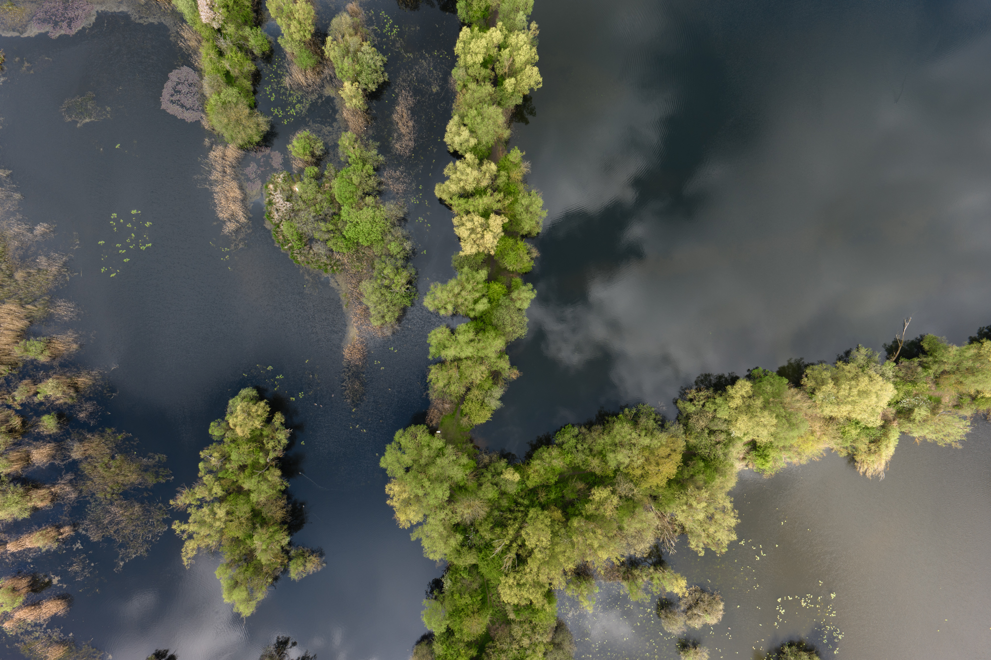 DJI Inspire 3 aerial image of lakes and trees