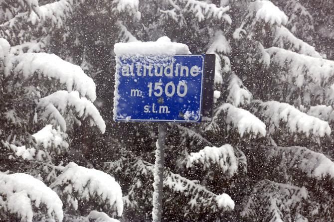 Snow covers the signs, the trees, everything
