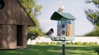 Kiwibit Beako birdfeeder camera in a garden with birds on it