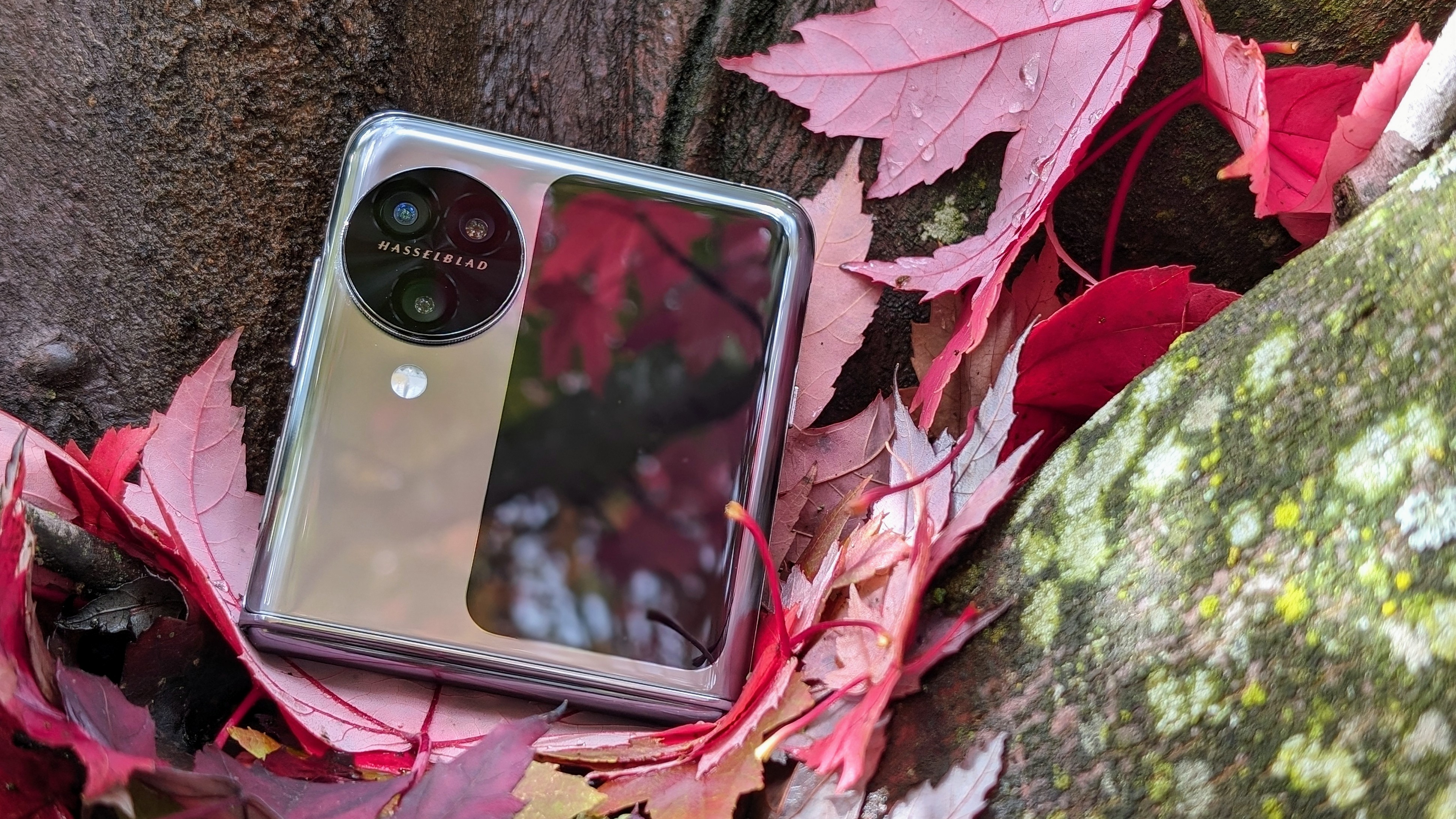 OPPO Find N3 Flip in a tree