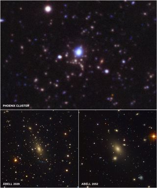 Phoenix Cluster and Abell 2029 and Abell 2052