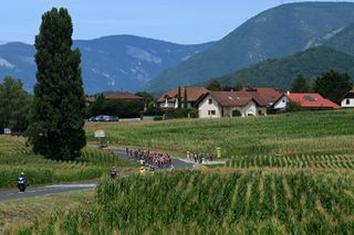 The peloton on stage seven of the Tour de France Femmes 2024