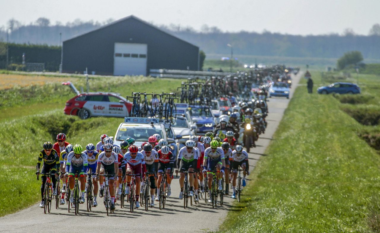 Echelons splinter the peloton in Scheldeprijs