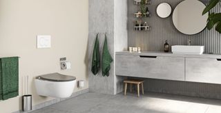 grey toilet seat in sophisticated bathroom