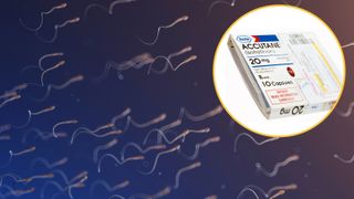 Background image shows sperm swimming. Image in top right corner is of the acne drug, accutane in a box.