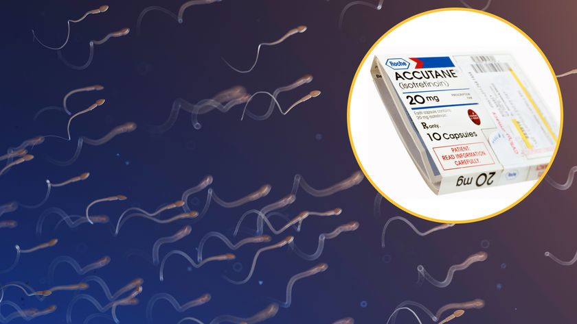 Background image shows sperm swimming. Image in top right corner is of the acne drug, accutane in a box.