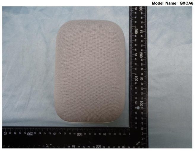 Google Nest Speaker Leak