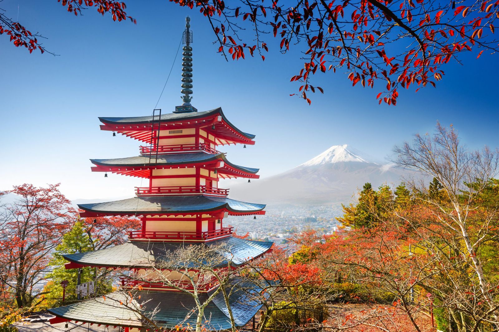 Postcards from Japan: 13 photos that will make you want to visit right ...