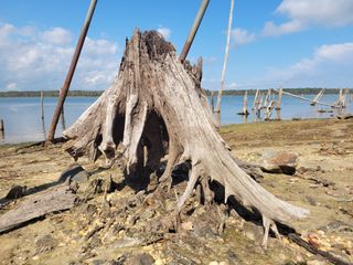 Samsung Galaxy S20 FE review camera samples