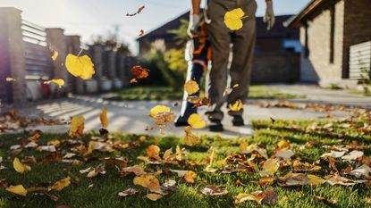 Leaf blower