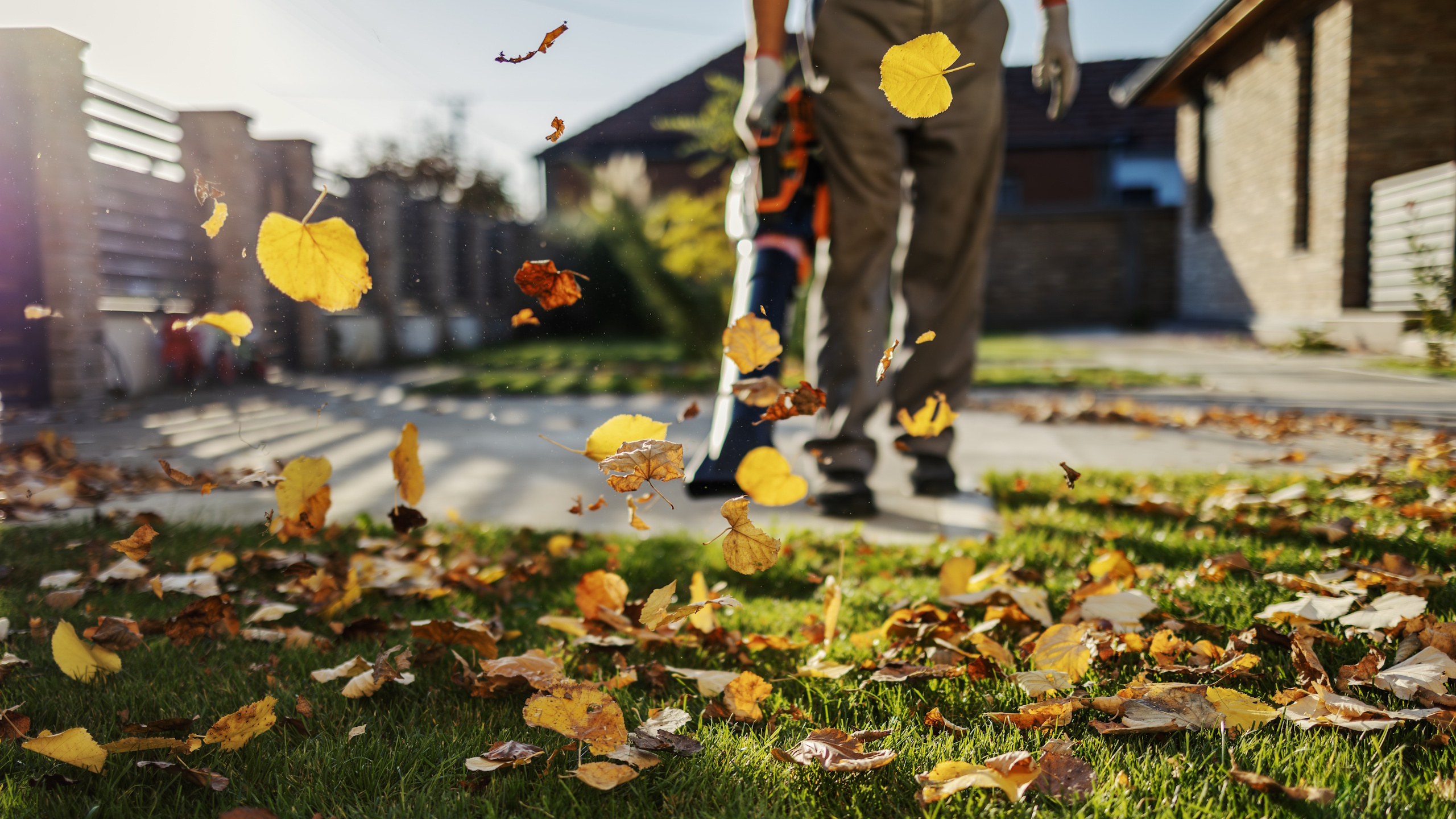 Leaf blower