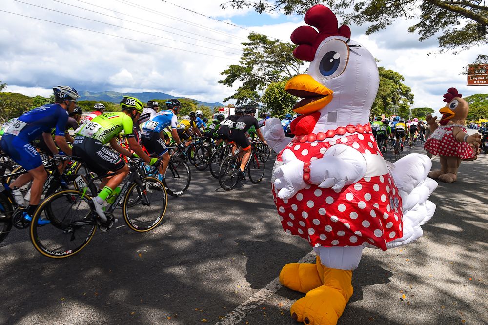 Local fowls say hola to the bunch in Colombia